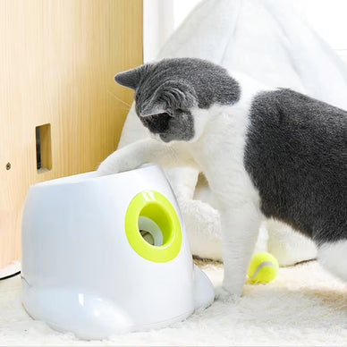 Unleash Joyful Playtime for Your Beloved Dog!