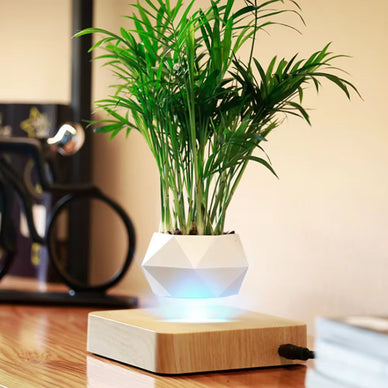 "Transform Your Space with Enchanting Elegance"