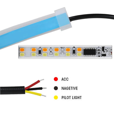 Transform Your Drive with Stunning, Dynamic Lighting!