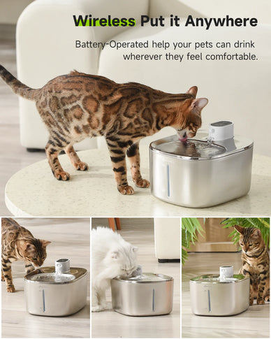 "Transform Your Pet's Hydration Experience Forever"